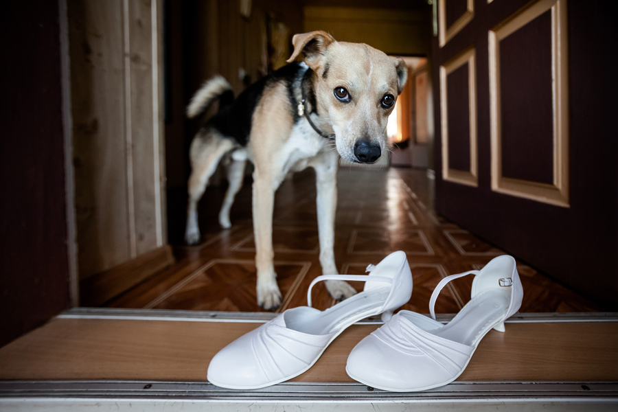 fotografia ślubna śląsk; fotografia ślubna kraków; dwóch fotograf na ślub; zdjęcia ślubne; fotograf ślubny bielsko