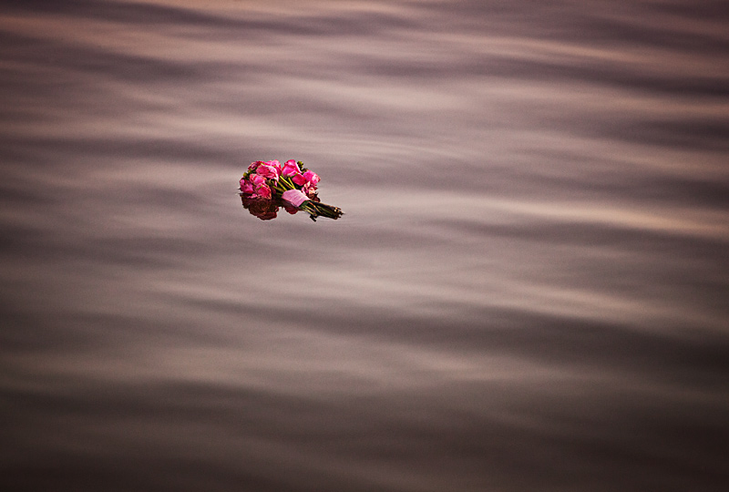 fotograf slubny slask; plener slubny pszczyna; sesja slubna; zdjecia slubne bielsko