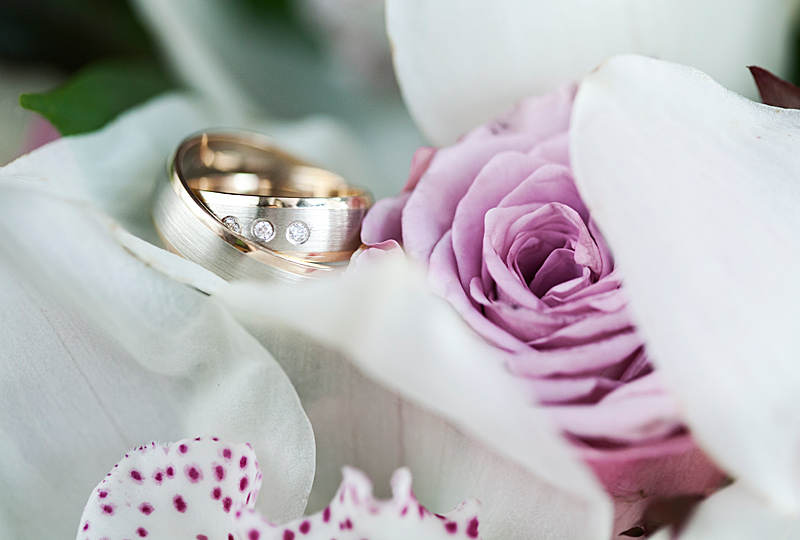 palac kotulinskich czechowice; fotografia slubna slask; zdjecia slubne bielsko; fotograf slubny bielsko