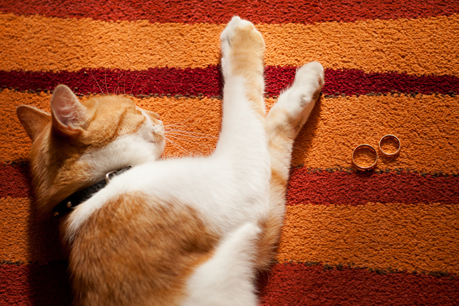 Najlepsze zdjecia slubne reportazowe 2013 najpiekniejsze zdjecia slubne; fotografia ślubna śląsk; fotografia ślubna bielsko; dwóch fotografów na ślub; zdjęcia ślubne; fotograf slubny bielsko; reportaze slubne