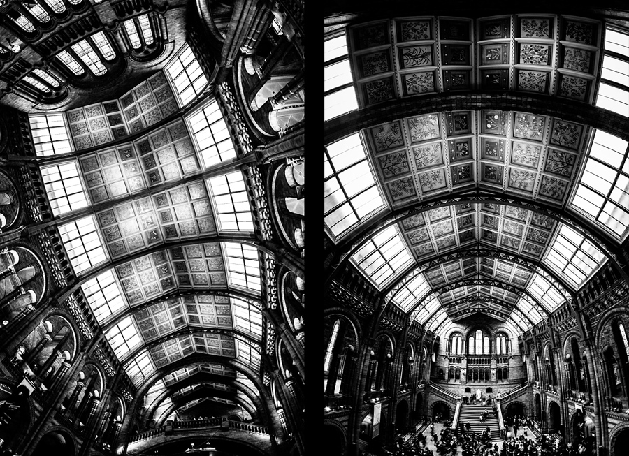 Natural History Museum fotograf slask