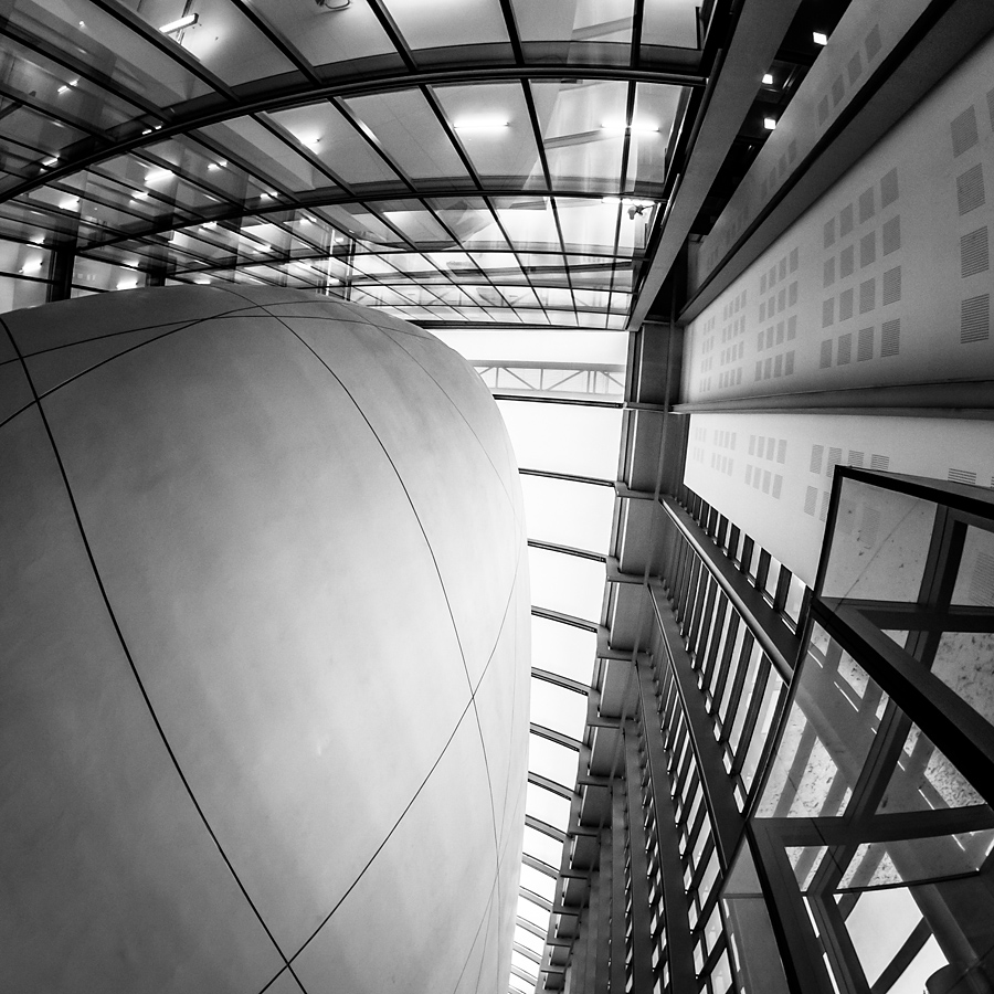 Natural History Museum fotograf slask