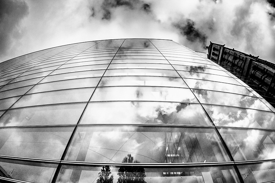 Natural History Museum fotograf slask