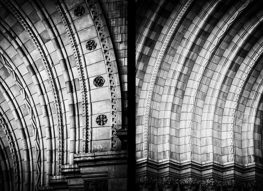 Natural History Museum fotograf slask