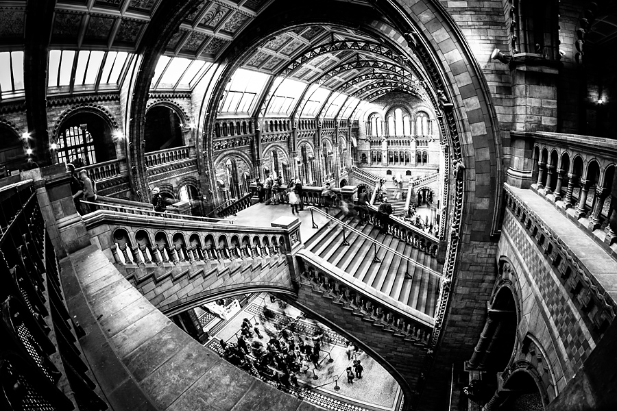 Natural History Museum fotograf slask