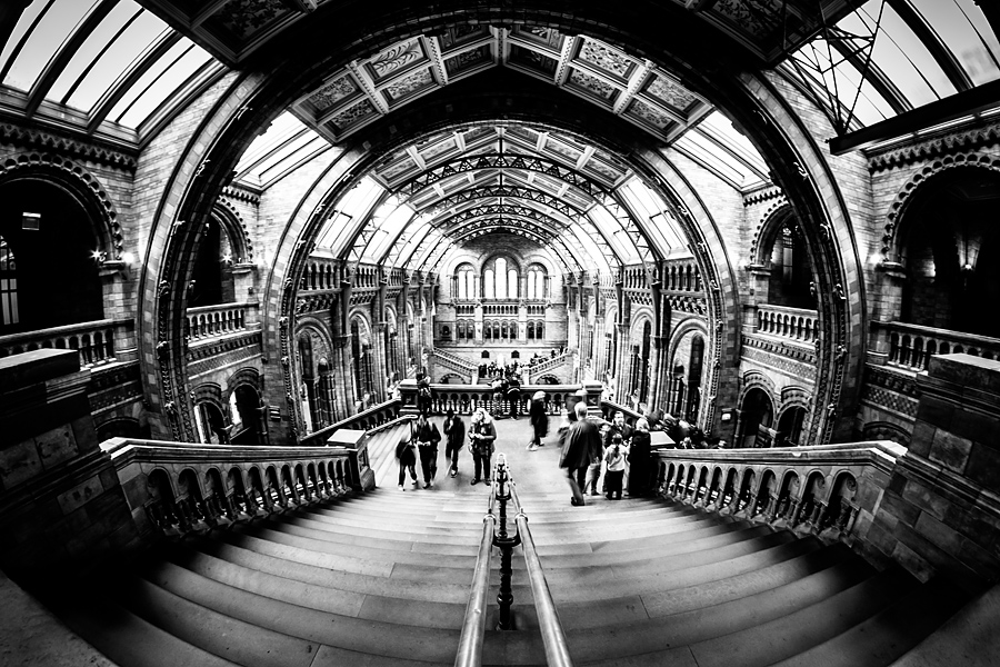 Natural History Museum fotograf slask