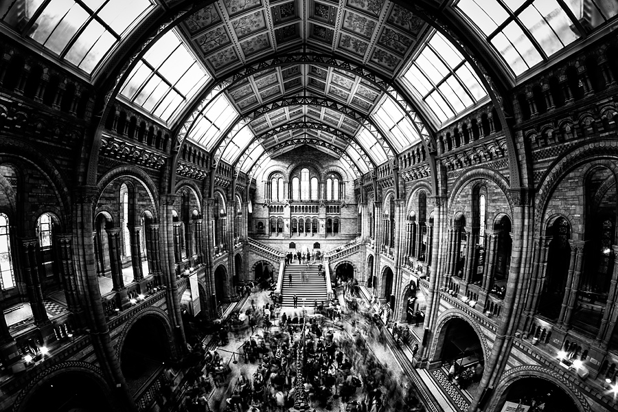 Natural History Museum fotograf slask