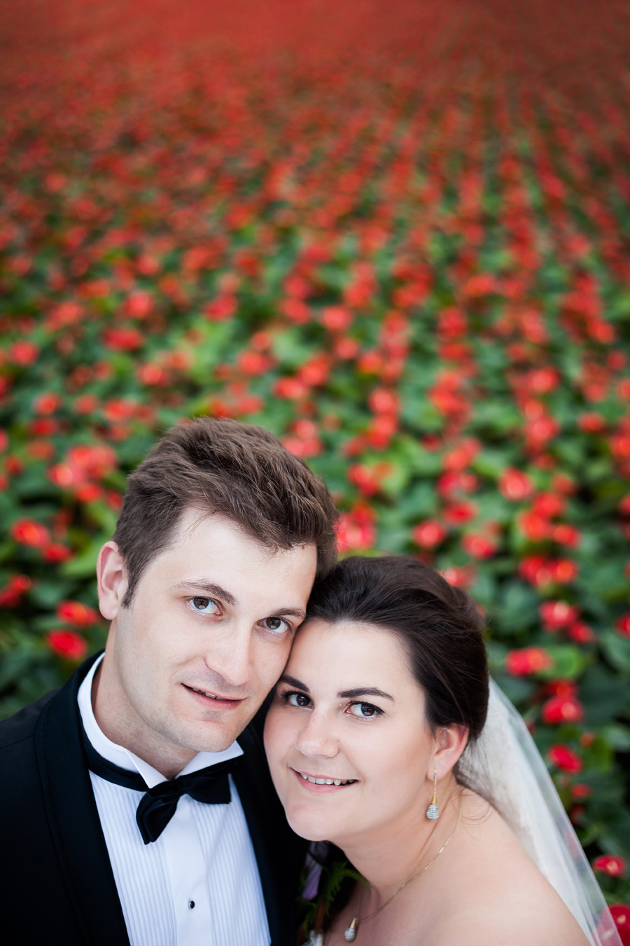 plener ślubny na Śląsku Karoliny i Błażeja fotografia ślubna śląsk; fotografia ślubna kraków; dwóch fotografów na ślub; zdjęcia ślubne; fotograf ślubny bielsko