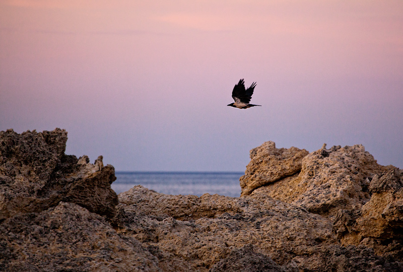 zdjecia Rodos; fotografie z grecji; wycieczka na rodos; wakacje rodos; zdjecia grecja