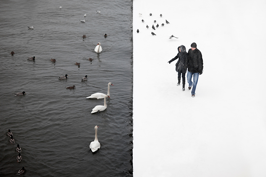 fotografia slubna slask; zdjecia slubne krakow, sesja narzeczenska krakow, zdjecia narzeczenskie zima, fotograf slubny bielsko