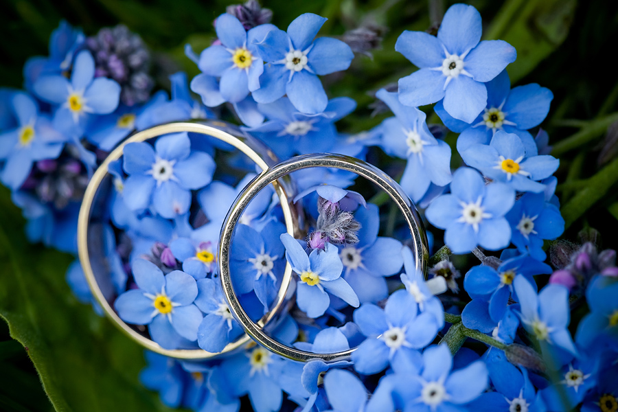 Plenerowy slub Asi i Tomka slub w plenerze; fotografia ślubna małopolska; fotografia ślubna krakow; dwóch fotograf na ślub; zdjęcia ślubne; fotograf ślubny bielsko