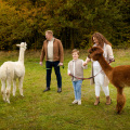 Jesienna sesja rodzinna z alpakami
www.magiaobrazu.com