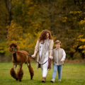 Jesienna sesja rodzinna z alpakami
www.magiaobrazu.com