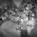Piękny plenerowy ślub Patrycji i Szymona w Bielsku. Fotografia ślubna Śląsk
www.magiaobrazu.com