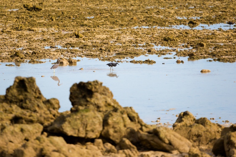 co zobaczyc w tajlandii, najlepsze miejsca w tajlandii, co odwiedzic w tajlandii, wakacje w tajlandii, tajlandia najlepsze miejsca, fotografie z podrozy, zdjecia z podrozy, zdjecia z tajlandii, Bangkok, koh kradan, koh mook, koh poda, lanta, trang, koh kret, fotografie z tajlandii, fotografia podroznicza, travel photography, travel photos, asia photos, thailand, thai photos, thailand photography, thailand travel, thai travel, best places in thailand, www.magiaobrazu.com, tajlandia, zdjecia z wakacji, zdjecia z azji, fotografie z azji, podroz po azji