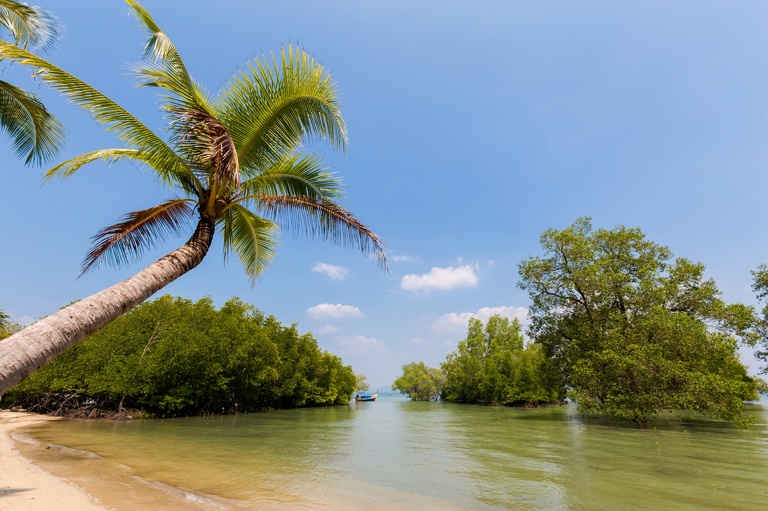 co zobaczyc w tajlandii, najlepsze miejsca w tajlandii, co odwiedzic w tajlandii, wakacje w tajlandii, tajlandia najlepsze miejsca, fotografie z podrozy, zdjecia z podrozy, zdjecia z tajlandii, Bangkok, koh kradan, koh mook, koh poda, lanta, trang, koh kret, fotografie z tajlandii, fotografia podroznicza, travel photography, travel photos, asia photos, thailand, thai photos, thailand photography, thailand travel, thai travel, best places in thailand, www.magiaobrazu.com, tajlandia, zdjecia z wakacji, zdjecia z azji, fotografie z azji, podroz po azji