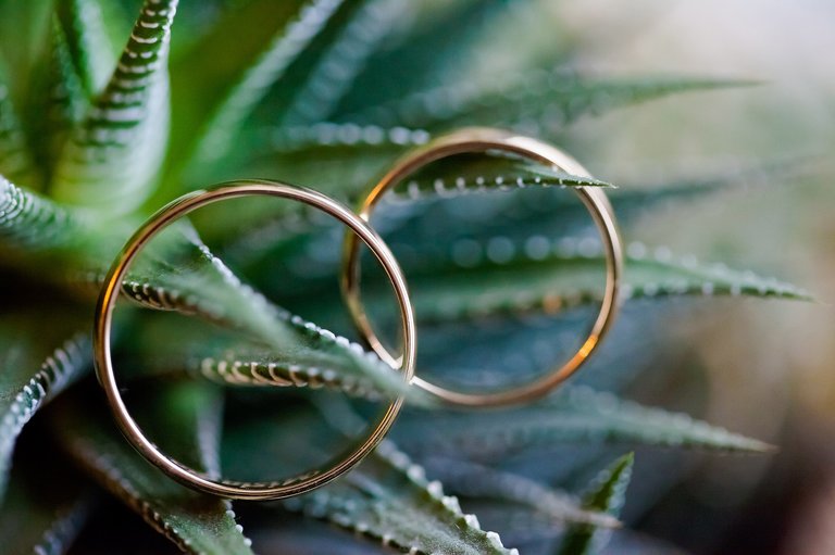 fotografia slubna slask, zdjecia slubne slask, najlepsze zdjecia slubne, najlepsze sesje slubne 2015, najpiekniejsze plenery slubne 2015, best wedding photos, fotografia slubna krakow, zdjecia slubne krakow, piekny plener slubny, dwoch fotografow na slub, najlepsze slubne fotografie, oryginalne sesje slubne, fotografia slubna bielsko, zdjecia slubne katowice, fotografia slubna cieszyn, zdjecia slubne zywiec, best wedding sessions, najpiekniejsze zdjecia slubne 2015, najlepszy fotograf slubny, najlepsza fotografia slubna