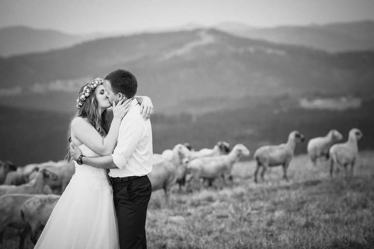 fotografia slubna slask, zdjecia slubne slask, najlepsze zdjecia slubne, najlepsze sesje slubne 2015, najpiekniejsze plenery slubne 2015, best wedding photos, fotografia slubna krakow, zdjecia slubne krakow, piekny plener slubny, dwoch fotografow na slub, najlepsze slubne fotografie, oryginalne sesje slubne, fotografia slubna bielsko, zdjecia slubne katowice, fotografia slubna cieszyn, zdjecia slubne zywiec, best wedding sessions, najpiekniejsze zdjecia slubne 2015, najlepszy fotograf slubny, najlepsza fotografia slubnafotografia slubna slask, zdjecia slubne slask, najlepsze zdjecia slubne, najlepsze sesje slubne 2015, najpiekniejsze plenery slubne 2015, best wedding photos, fotografia slubna krakow, zdjecia slubne krakow, piekny plener slubny, dwoch fotografow na slub, najlepsze slubne fotografie, oryginalne sesje slubne, fotografia slubna bielsko, zdjecia slubne katowice, fotografia slubna cieszyn, zdjecia slubne zywiec, best wedding sessions, najpiekniejsze zdjecia slubne 2015, najlepszy fotograf slubny, najlepsza fotografia slubna