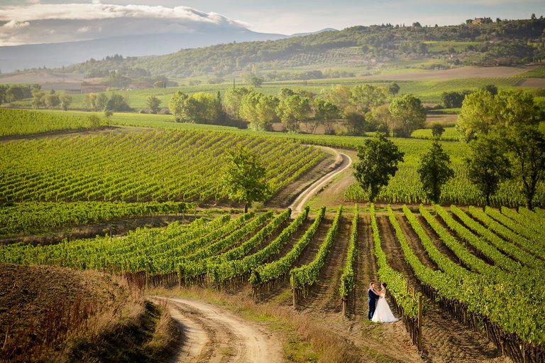 fotografia slubna slask, zdjecia slubne slask, najlepsze zdjecia slubne, najlepsze sesje slubne 2015, najpiekniejsze plenery slubne 2015, best wedding photos, fotografia slubna krakow, zdjecia slubne krakow, piekny plener slubny, dwoch fotografow na slub, najlepsze slubne fotografie, oryginalne sesje slubne, fotografia slubna bielsko, zdjecia slubne katowice, fotografia slubna cieszyn, zdjecia slubne zywiec, best wedding sessions, najpiekniejsze zdjecia slubne 2015, najlepszy fotograf slubny, najlepsza fotografia slubna