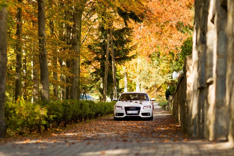 fotografia slubna szczyrk, zdjecia slubne szczyrk, slub w kosciele na gorce w szczyrku, wesele w sali balowej pod skrzycznem, sala balowa pod skrzycznem szczyrk, kosciol na gorce szczyrk, wesele pod skrzycznem szczyrk, fotograf slubny zakopane, zdjecia slubne zakopane, fotografia slubna zakopane, zdjecia slubne bielsko, fotograf slubny bielsko, fotografia slubna cieszyn, www.magiaobrazu.com, zdjecia slubne bielsko, fotografia slubna slask, zdjecia slubne zywiec, zdjecia slubne cieszyn, dwoch fotografow na slub, zdjecia slubne slask,