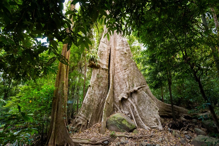 co zobaczyc w tajlandii, najlepsze miejsca w tajlandii, co odwiedzic w tajlandii, wakacje w tajlandii, tajlandia najlepsze miejsca, fotografie z podrozy, zdjecia z podrozy, zdjecia z tajlandii, Bangkok, koh kradan, koh mook, koh poda, lanta, trang, koh kret, fotografie z tajlandii, fotografia podroznicza, travel photography, travel photos, asia photos, thailand, thai photos, thailand photography, thailand travel, thai travel, best places in thailand, www.magiaobrazu.com, tajlandia, zdjecia z wakacji, zdjecia z azji, fotografie z azji, podroz po azji