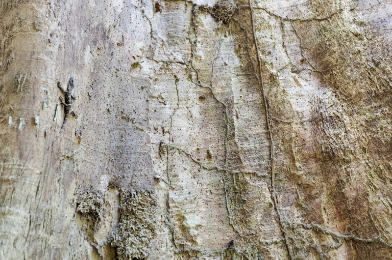 co zobaczyc w tajlandii, najlepsze miejsca w tajlandii, co odwiedzic w tajlandii, wakacje w tajlandii, tajlandia najlepsze miejsca, fotografie z podrozy, zdjecia z podrozy, zdjecia z tajlandii, Bangkok, koh kradan, koh mook, koh poda, lanta, trang, koh kret, fotografie z tajlandii, fotografia podroznicza, travel photography, travel photos, asia photos, thailand, thai photos, thailand photography, thailand travel, thai travel, best places in thailand, www.magiaobrazu.com, tajlandia, zdjecia z wakacji, zdjecia z azji, fotografie z azji, podroz po azji