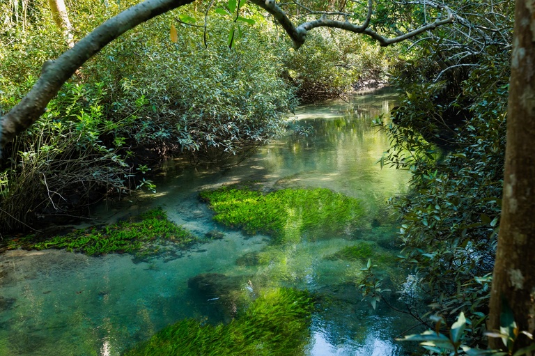 co zobaczyc w tajlandii, najlepsze miejsca w tajlandii, co odwiedzic w tajlandii, wakacje w tajlandii, tajlandia najlepsze miejsca, fotografie z podrozy, zdjecia z podrozy, zdjecia z tajlandii, Bangkok, koh kradan, koh mook, koh poda, lanta, trang, koh kret, fotografie z tajlandii, fotografia podroznicza, travel photography, travel photos, asia photos, thailand, thai photos, thailand photography, thailand travel, thai travel, best places in thailand, www.magiaobrazu.com, tajlandia, zdjecia z wakacji, zdjecia z azji, fotografie z azji, podroz po azji