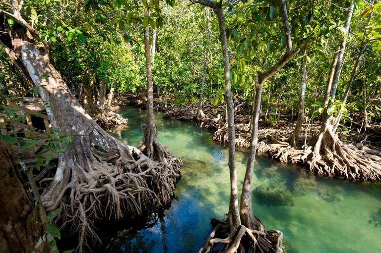 co zobaczyc w tajlandii, najlepsze miejsca w tajlandii, co odwiedzic w tajlandii, wakacje w tajlandii, tajlandia najlepsze miejsca, fotografie z podrozy, zdjecia z podrozy, zdjecia z tajlandii, Bangkok, koh kradan, koh mook, koh poda, lanta, trang, koh kret, fotografie z tajlandii, fotografia podroznicza, travel photography, travel photos, asia photos, thailand, thai photos, thailand photography, thailand travel, thai travel, best places in thailand, www.magiaobrazu.com, tajlandia, zdjecia z wakacji, zdjecia z azji, fotografie z azji, podroz po azji
