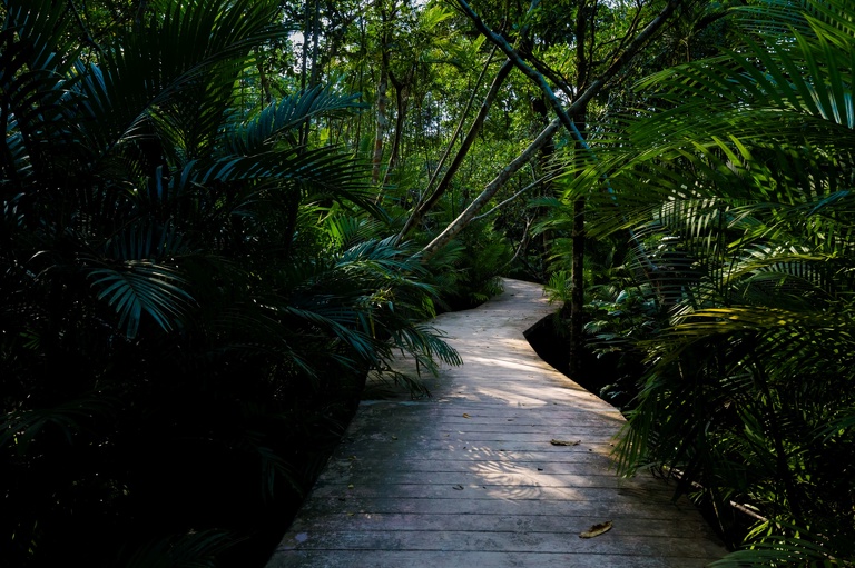 co zobaczyc w tajlandii, najlepsze miejsca w tajlandii, co odwiedzic w tajlandii, wakacje w tajlandii, tajlandia najlepsze miejsca, fotografie z podrozy, zdjecia z podrozy, zdjecia z tajlandii, Bangkok, koh kradan, koh mook, koh poda, lanta, trang, koh kret, fotografie z tajlandii, fotografia podroznicza, travel photography, travel photos, asia photos, thailand, thai photos, thailand photography, thailand travel, thai travel, best places in thailand, www.magiaobrazu.com, tajlandia, zdjecia z wakacji, zdjecia z azji, fotografie z azji, podroz po azji
