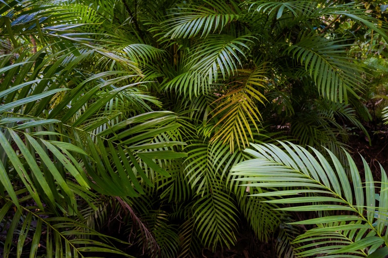 co zobaczyc w tajlandii, najlepsze miejsca w tajlandii, co odwiedzic w tajlandii, wakacje w tajlandii, tajlandia najlepsze miejsca, fotografie z podrozy, zdjecia z podrozy, zdjecia z tajlandii, Bangkok, koh kradan, koh mook, koh poda, lanta, trang, koh kret, fotografie z tajlandii, fotografia podroznicza, travel photography, travel photos, asia photos, thailand, thai photos, thailand photography, thailand travel, thai travel, best places in thailand, www.magiaobrazu.com, tajlandia, zdjecia z wakacji, zdjecia z azji, fotografie z azji, podroz po azji