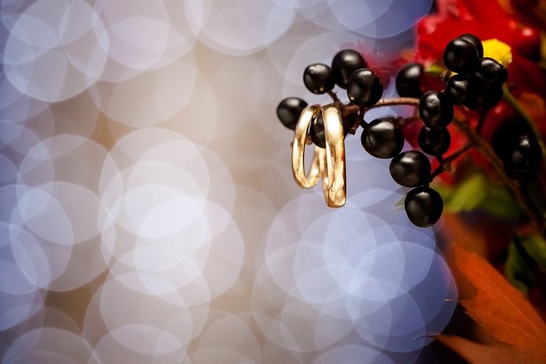 Anna i Jacek Bieniek; fotograf slubny slask; slub cywilny w hotelu na bloniach, dwoje fotografow na slub; fotografowie slubni slask; fotograf slubny bielsko; fotografia slubna, reportaz slubny, www.magiaobrazu.com, zdjecia slubne, fotoreportaz slubny; fotograf pszczyna; zdjecia slubne bielsko; hotel na bloniach bielsko; wesele w hotelu na bloniach