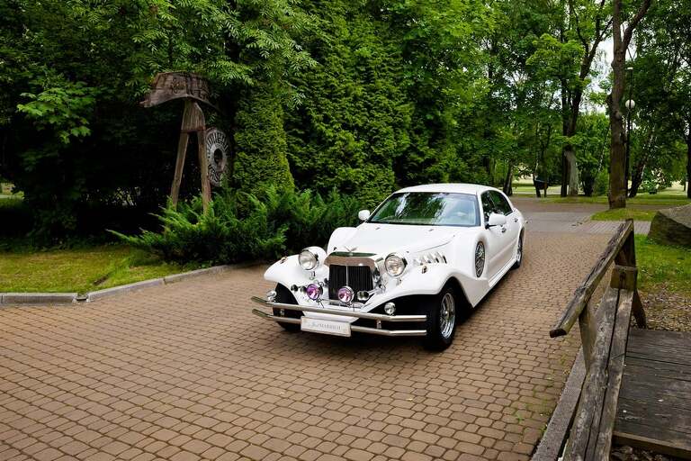 fotografia slubna slask, fotografia slubna katowice, zdjecia slubne katowice, fotograf slubny katowice, zdjecia slubne chorzow, fotografia slubna chorzow, zdjecia slubne bielsko, wesele kamienny kasztel, fotograf slubny bielsko, zdjecia slubne slask, katedra w sosnowcu, slub w katedrze w sosnowcu, sesja w parku slaskim, plener slubny w parku slaskim, dwoch fotografow na slub, fotografia slubna krakow,