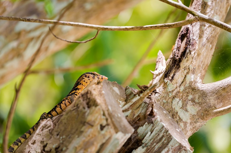 co zobaczyc w tajlandii, najlepsze miejsca w tajlandii, co odwiedzic w tajlandii, wakacje w tajlandii, tajlandia najlepsze miejsca, fotografie z podrozy, zdjecia z podrozy, zdjecia z tajlandii, Bangkok, koh kradan, koh mook, koh poda, lanta, trang, koh kret, fotografie z tajlandii, fotografia podroznicza, travel photography, travel photos, asia photos, thailand, thai photos, thailand photography, thailand travel, thai travel, best places in thailand, www.magiaobrazu.com, tajlandia, zdjecia z wakacji, zdjecia z azji, fotografie z azji, podroz po azji