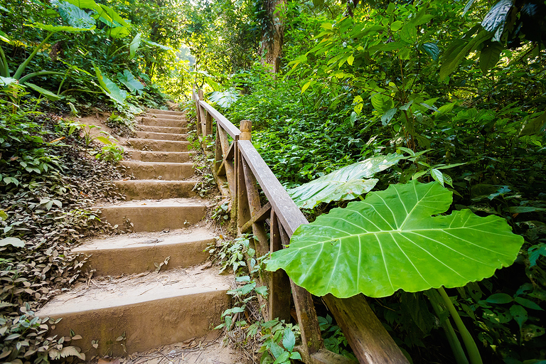 fotografie z podrozy, zdjecia z podrozy, zdjecia z laosu, travel photography, laos photos lao what to sea, travelling lao, fotografie z laosu, fotografia podroznicza, www.magiaobrazu.com, laos, huay xai, pakbeng, luang prabang, vientiane, pakse, 4 thousand islands, four thousand islands laos, don det, don khone lao, zdjecia z wakacji, zdjecia z azji, fotografie z azji, podroz po azji