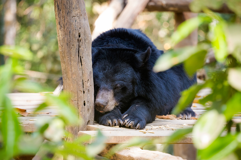 fotografie z podrozy, zdjecia z podrozy, zdjecia z laosu, travel photography, laos photos lao what to sea, travelling lao, fotografie z laosu, fotografia podroznicza, www.magiaobrazu.com, laos, huay xai, pakbeng, luang prabang, vientiane, pakse, 4 thousand islands, four thousand islands laos, don det, don khone lao, zdjecia z wakacji, zdjecia z azji, fotografie z azji, podroz po azji