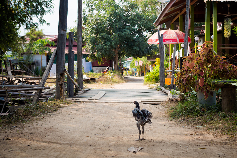 Zdjecia z podrozy po Laosie: Huay Xay, Pakbeng, Luang Prabang, Vientiane, Pakse, 4 thousand islands: Don Den, Don Khone