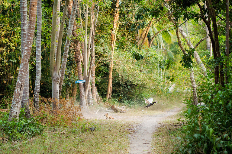 Zdjecia z podrozy po Laosie: Huay Xay, Pakbeng, Luang Prabang, Vientiane, Pakse, 4 thousand islands: Don Den, Don Khone