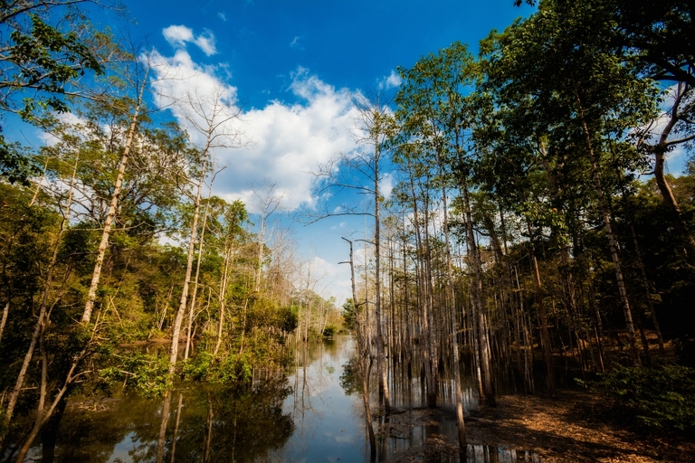 zdjecia z podrozy, fotografia podroznicza, zdjecia z kambodzy, fotografie kambodza, zdjecia angkor wat, fotografie z siem reap, zdjecia z sihanoukville, fotografie wyspa koh rong, piekne krajobrazy, letnie krajobrazy, piekne pejzaze, zdjecia z azji, fotografie azja
