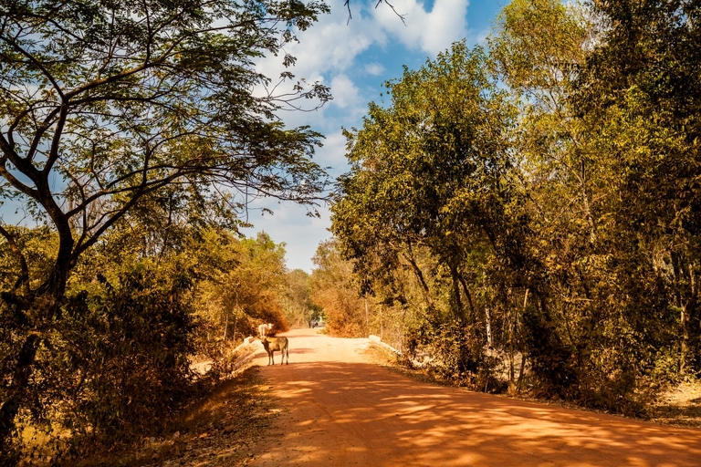 zdjecia z podrozy, fotografia podroznicza, zdjecia z kambodzy, fotografie kambodza, zdjecia angkor wat, fotografie z siem reap, zdjecia z sihanoukville, fotografie wyspa koh rong, piekne krajobrazy, letnie krajobrazy, piekne pejzaze, zdjecia z azji, fotografie azja