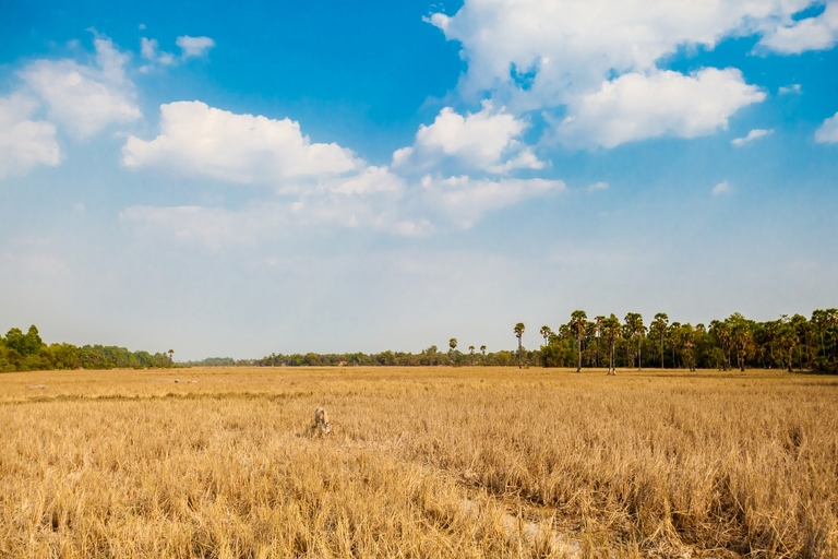 zdjecia z podrozy, fotografia podroznicza, zdjecia z kambodzy, fotografie kambodza, zdjecia angkor wat, fotografie z siem reap, zdjecia z sihanoukville, fotografie wyspa koh rong, piekne krajobrazy, letnie krajobrazy, piekne pejzaze, zdjecia z azji, fotografie azja