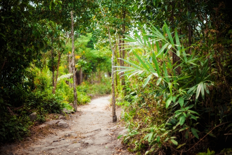 zdjecia z podrozy, fotografia podroznicza, zdjecia z kambodzy, fotografie kambodza, zdjecia angkor wat, fotografie z siem reap, zdjecia z sihanoukville, fotografie wyspa koh rong, piekne krajobrazy, letnie krajobrazy, piekne pejzaze, zdjecia z azji, fotografie azja