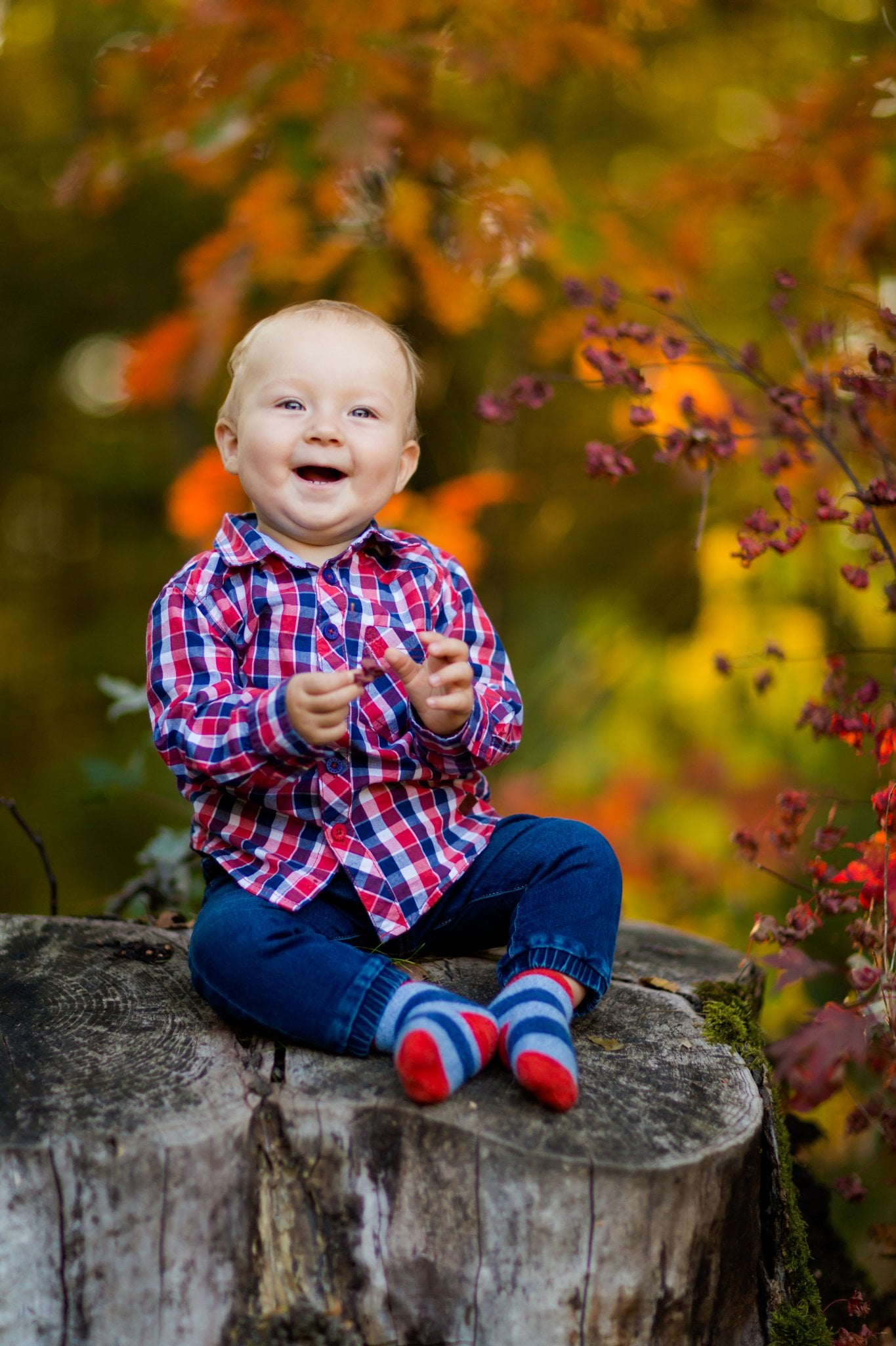 lifestylowa sesja rodzinna pszczyna, lifestylowe sesje rodzinne pszczyna, jesienna sesja rodzinna, sesje dzieciece pszczyna, zdjecia dzieciece pszczyna, sesja rodzinna bielsko, fotografia rodzinna slask, zdjecia portretowe pszczyna, sesja portretowa bielsko, zdjecia w plenerze bielsko, rodzina w plenerze slask, fotografia dziecieca bielsko, zdjecia dzieci bielsko, fotografia rodzinna bielsko-biala, fotografia rodzinna slask, zdjecia ludzi slask, zdjecia dla rodzin, fotograf fotograf rodzinny slask, , fotograf czechowice, fotografia bielsko, zdjecia slask, www.magiaobrazu.com,