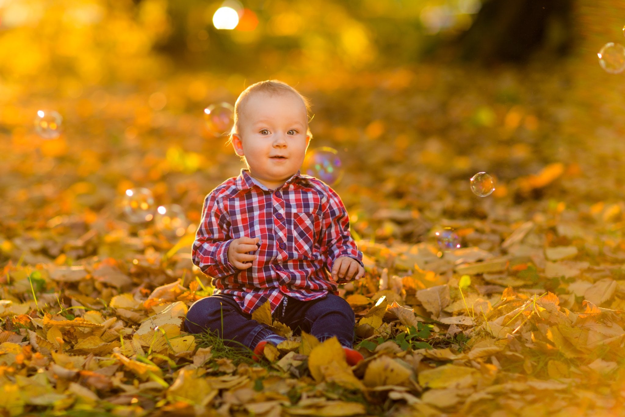lifestylowa sesja rodzinna pszczyna, lifestylowe sesje rodzinne pszczyna, jesienna sesja rodzinna, sesje dzieciece pszczyna, zdjecia dzieciece pszczyna, sesja rodzinna bielsko, fotografia rodzinna slask, zdjecia portretowe pszczyna, sesja portretowa bielsko, zdjecia w plenerze bielsko, rodzina w plenerze slask, fotografia dziecieca bielsko, zdjecia dzieci bielsko, fotografia rodzinna bielsko-biala, fotografia rodzinna slask, zdjecia ludzi slask, zdjecia dla rodzin, fotograf fotograf rodzinny slask, , fotograf czechowice, fotografia bielsko, zdjecia slask, www.magiaobrazu.com,