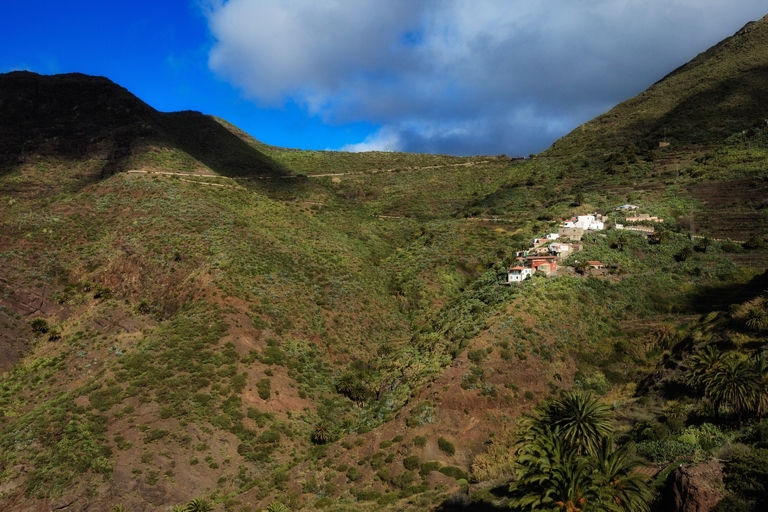 fotografie z podrozy, zdjecia z podrozy, profesjonalna fotografia podroznicza, zdjecia z teneryfy, fotografie z teneryfy, fotografia podroznicza, www.magiaobrazu.com, teneryfa, El Teide, Masca wawoz, Santa Cruz, zdjecia teneryfa, wyspy kanaryjskie, hiszpania, zdjecia z kanarow, fotografie z teneryfy, fotografia teneryfa, piekne miejsca w europie, zdjecia z wysp kanaryjskich, profesjonalna fotografia podroznicza