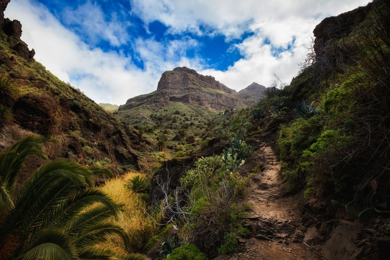 fotografie z podrozy, zdjecia z podrozy, profesjonalna fotografia podroznicza, zdjecia z teneryfy, fotografie z teneryfy, fotografia podroznicza, www.magiaobrazu.com, teneryfa, El Teide, Masca wawoz, Santa Cruz, zdjecia teneryfa, wyspy kanaryjskie, hiszpania, zdjecia z kanarow, fotografie z teneryfy, fotografia teneryfa, piekne miejsca w europie, zdjecia z wysp kanaryjskich, profesjonalna fotografia podroznicza