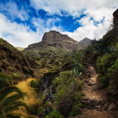 fotografie z podrozy, zdjecia z podrozy, profesjonalna fotografia podroznicza, zdjecia z teneryfy, fotografie z teneryfy, fotografia podroznicza, www.magiaobrazu.com, teneryfa, El Teide, Masca wawoz, Santa Cruz, zdjecia teneryfa, wyspy kanaryjskie, hiszpania, zdjecia z kanarow, fotografie z teneryfy, fotografia teneryfa, piekne miejsca w europie, zdjecia z wysp kanaryjskich, profesjonalna fotografia podroznicza