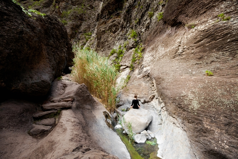 fotografie z podrozy, zdjecia z podrozy, profesjonalna fotografia podroznicza, zdjecia z teneryfy, fotografie z teneryfy, fotografia podroznicza, www.magiaobrazu.com, teneryfa, El Teide, Masca wawoz, Santa Cruz, zdjecia teneryfa, wyspy kanaryjskie, hiszpania, zdjecia z kanarow, fotografie z teneryfy, fotografia teneryfa, piekne miejsca w europie, zdjecia z wysp kanaryjskich, profesjonalna fotografia podroznicza