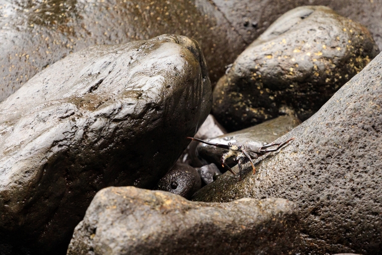 fotografie z podrozy, zdjecia z podrozy, profesjonalna fotografia podroznicza, zdjecia z teneryfy, fotografie z teneryfy, fotografia podroznicza, www.magiaobrazu.com, teneryfa, El Teide, Masca wawoz, Santa Cruz, zdjecia teneryfa, wyspy kanaryjskie, hiszpania, zdjecia z kanarow, fotografie z teneryfy, fotografia teneryfa, piekne miejsca w europie, zdjecia z wysp kanaryjskich, profesjonalna fotografia podroznicza