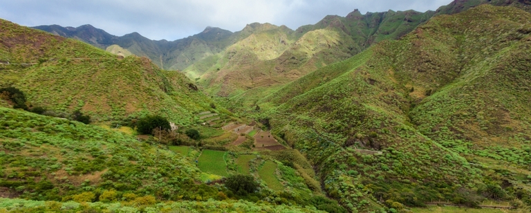 fotografie z podrozy, zdjecia z podrozy, profesjonalna fotografia podroznicza, zdjecia z teneryfy, fotografie z teneryfy, fotografia podroznicza, www.magiaobrazu.com, teneryfa, El Teide, Masca wawoz, Santa Cruz, zdjecia teneryfa, wyspy kanaryjskie, hiszpania, zdjecia z kanarow, fotografie z teneryfy, fotografia teneryfa, piekne miejsca w europie, zdjecia z wysp kanaryjskich, profesjonalna fotografia podroznicza