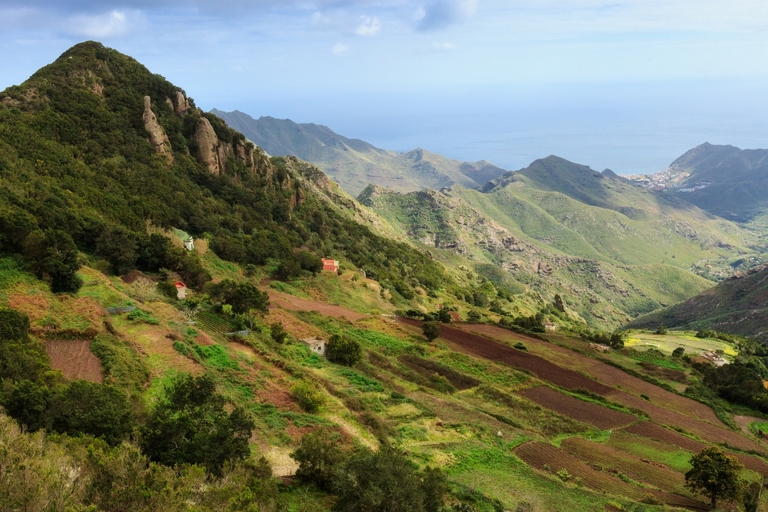 fotografie z podrozy, zdjecia z podrozy, profesjonalna fotografia podroznicza, zdjecia z teneryfy, fotografie z teneryfy, fotografia podroznicza, www.magiaobrazu.com, teneryfa, El Teide, Masca wawoz, Santa Cruz, zdjecia teneryfa, wyspy kanaryjskie, hiszpania, zdjecia z kanarow, fotografie z teneryfy, fotografia teneryfa, piekne miejsca w europie, zdjecia z wysp kanaryjskich, profesjonalna fotografia podroznicza